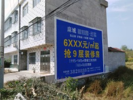 吴堡墙体广告质量分析