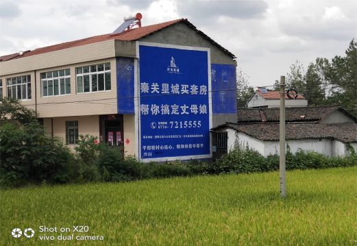 吴堡决定墙体广告价格的因素有哪些?